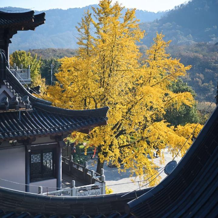 山下一散修——季生