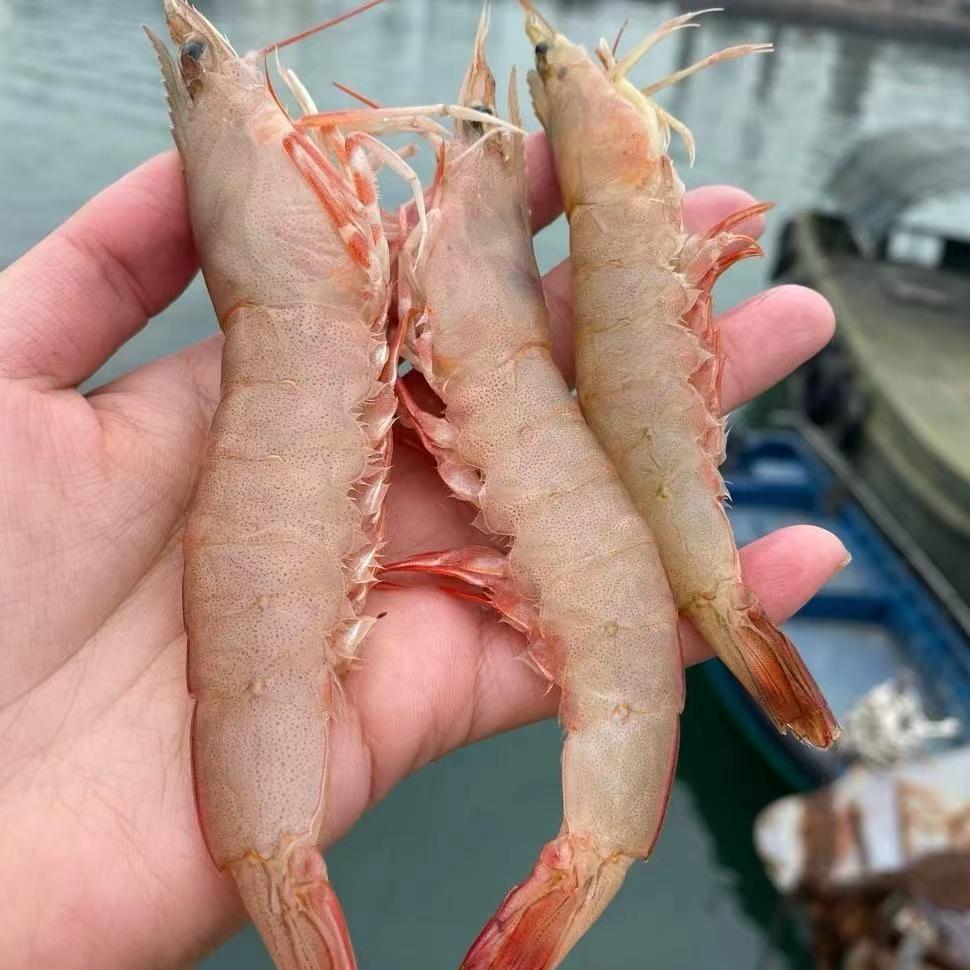 吹水湛表哥海鲜