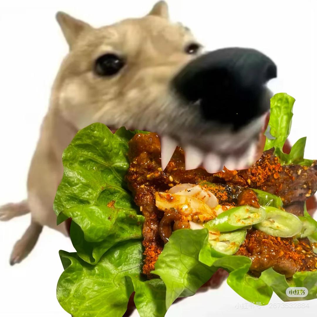 阿  嘉