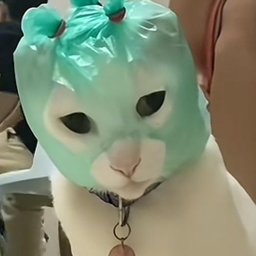 农村人nb666
