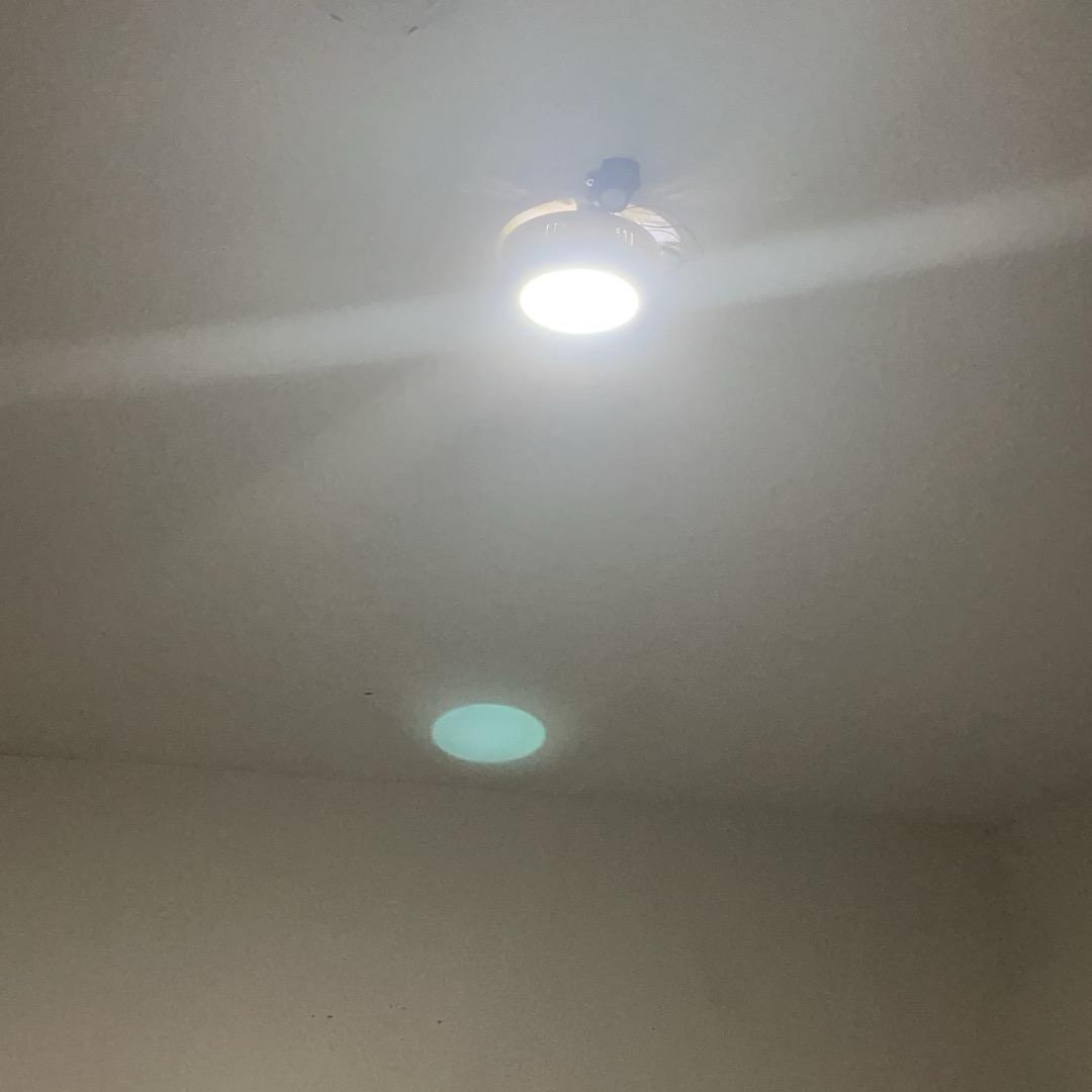 卟哺布