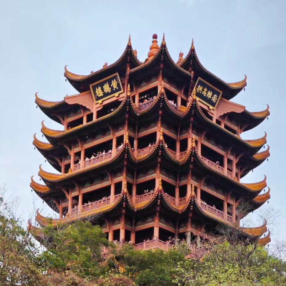 信达看武汉