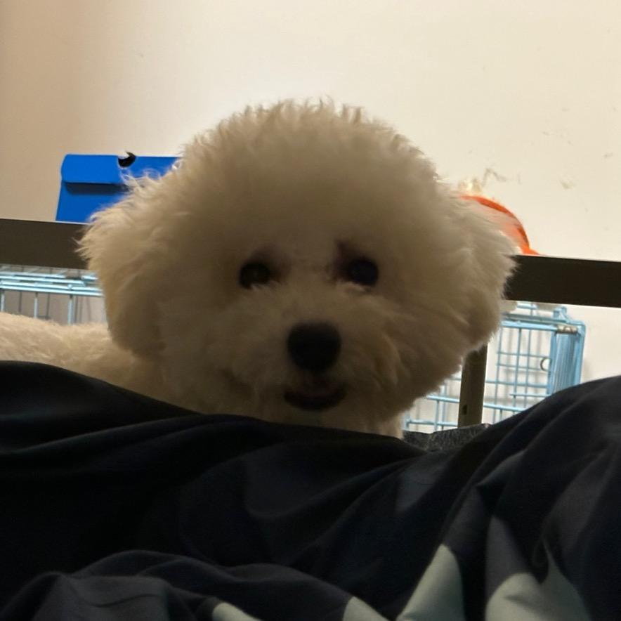 四夕罗