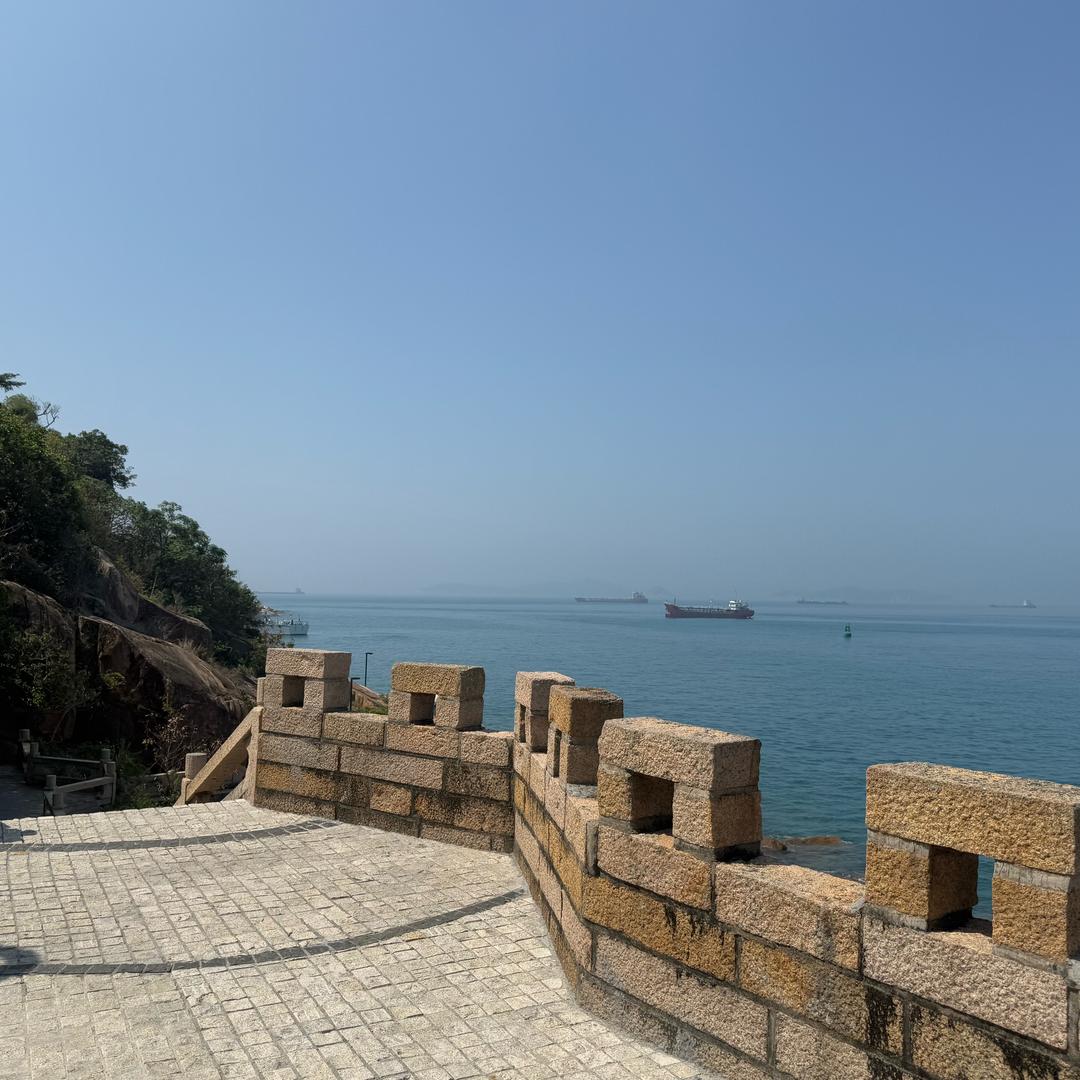一身反骨,依旧不忘,菜菜点菜