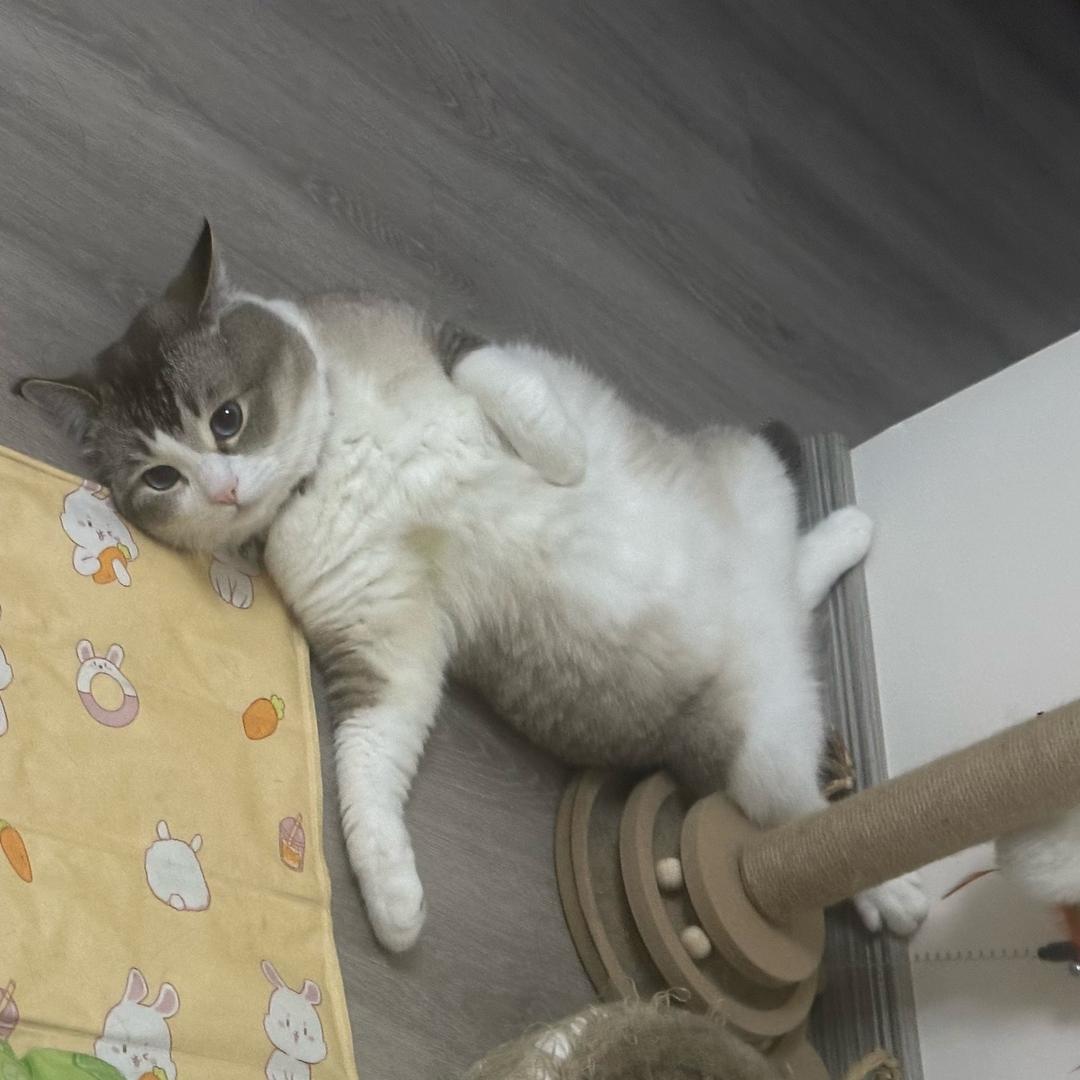 沐锦