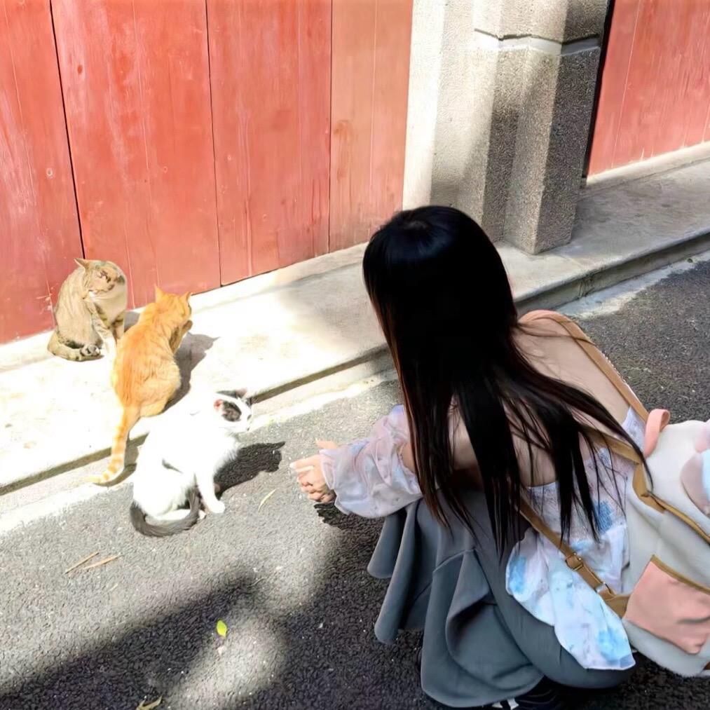 从未拥有你