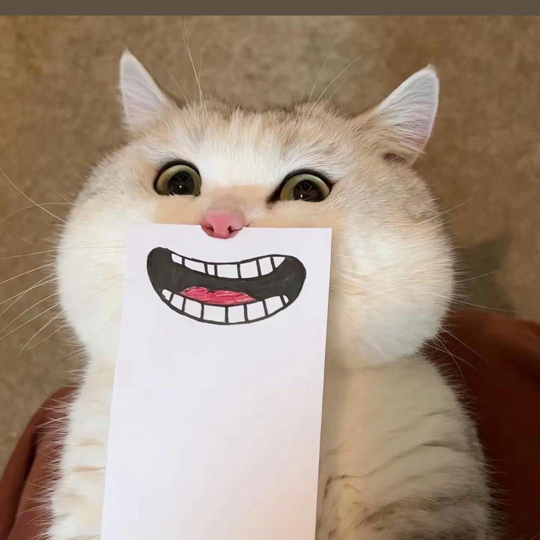 金子和她的小猫