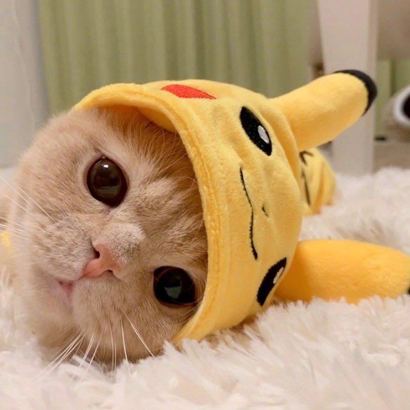 ...Hello