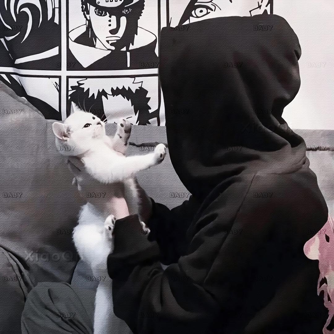 小齐