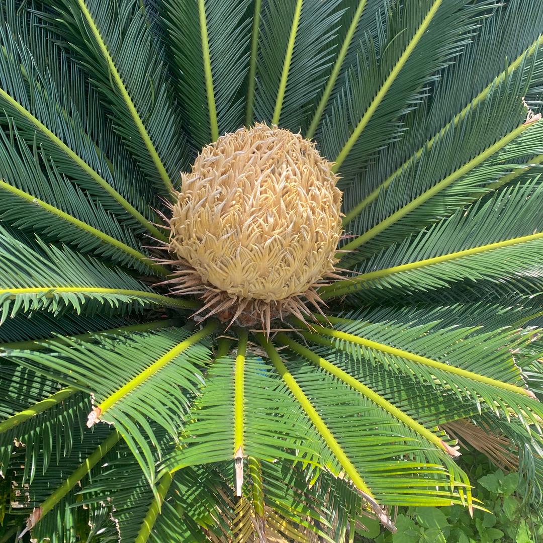 命里知富贵：八字道吉凶