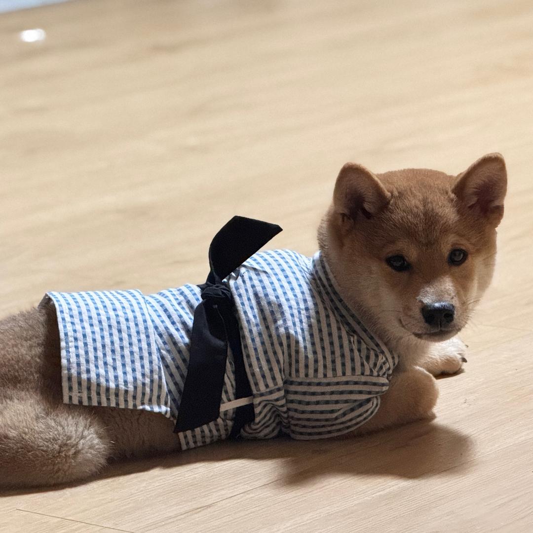 不乖就把你卖掉