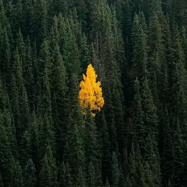 🤷🤷🏻🤷🏽🤷🏾🤷🏿