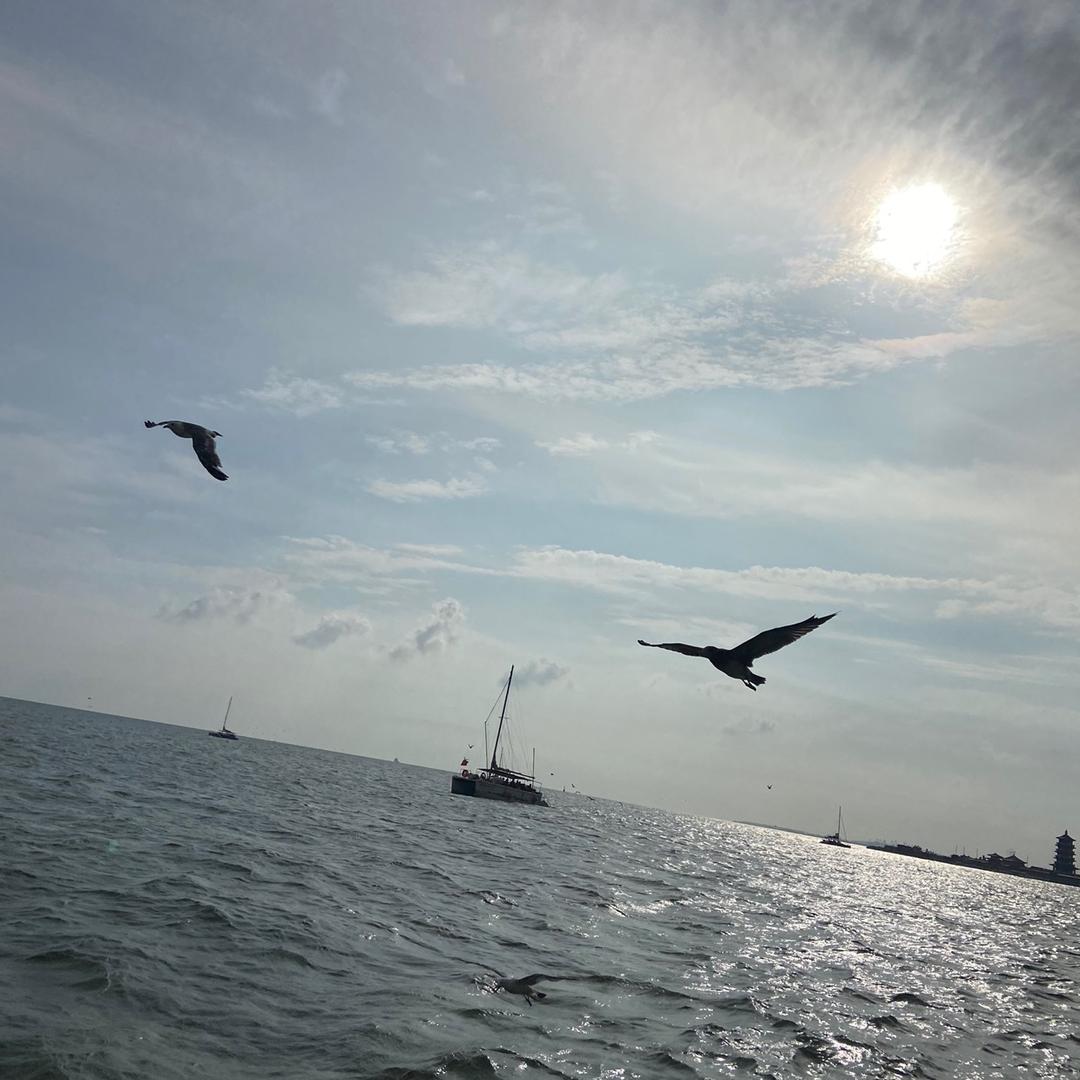 悬浮🍓🐳