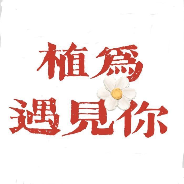 植为遇见你企业店