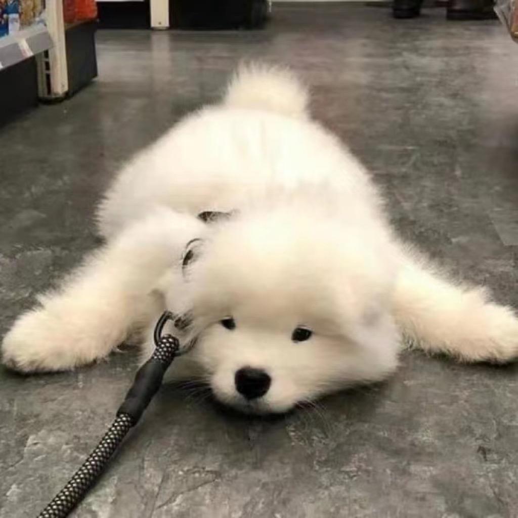 我是晶晶的好朋友