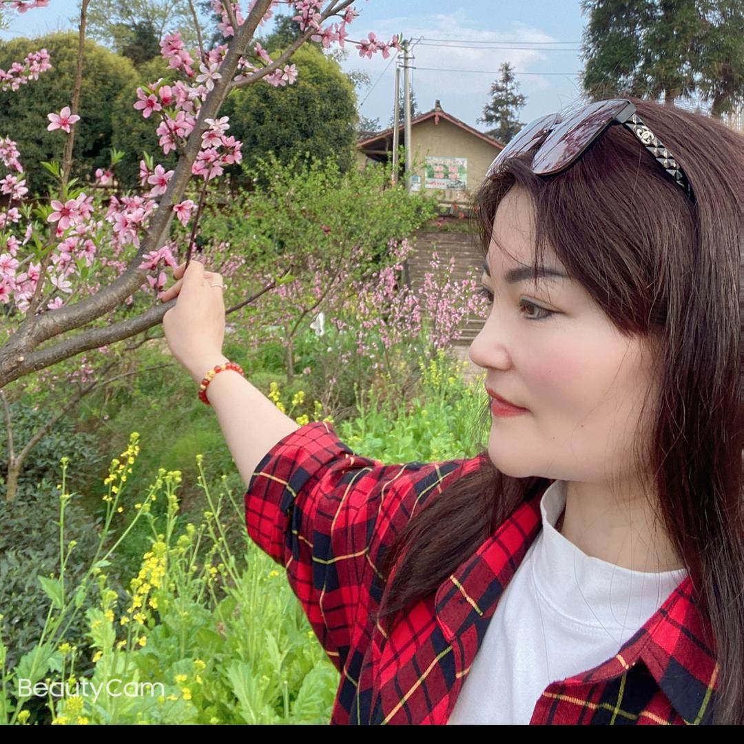毛毛