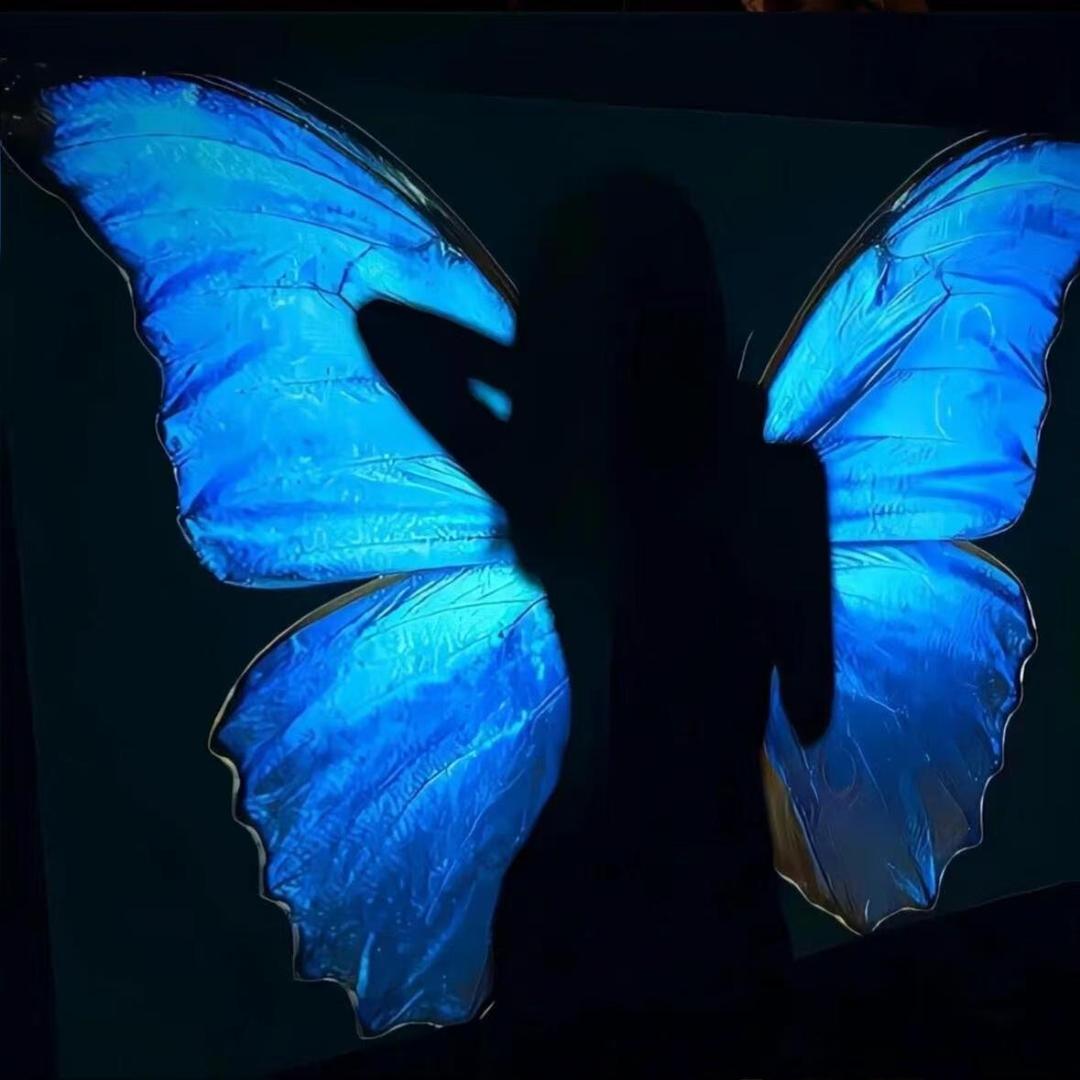 半糖梦境-新厅待冠👑