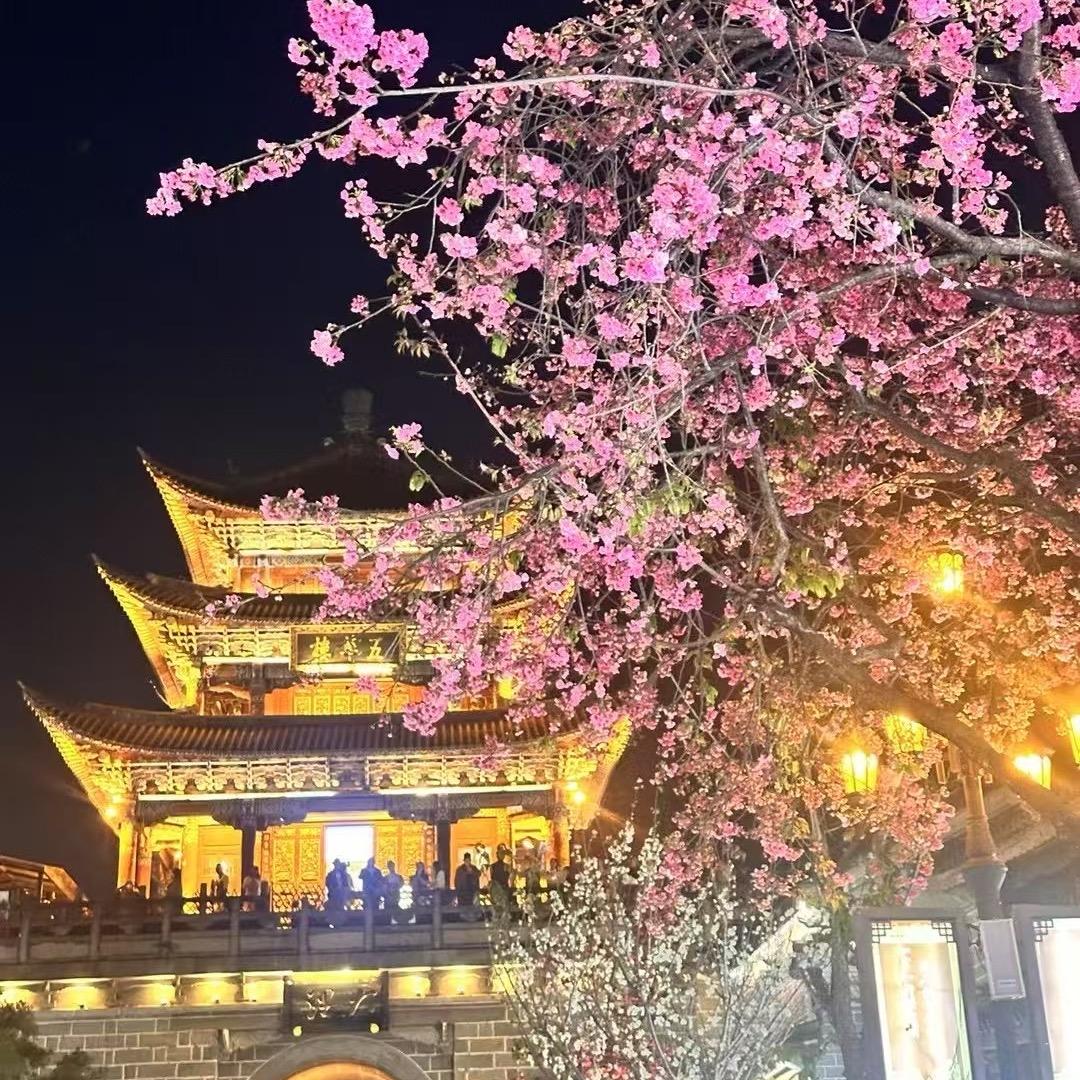 随心❤所欲🎊🌲