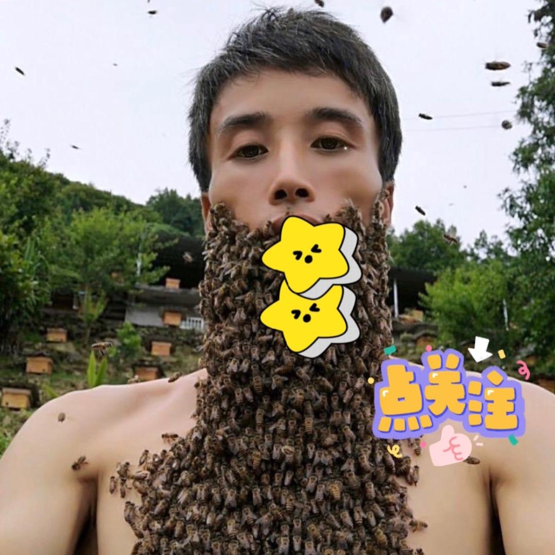 蜂博主