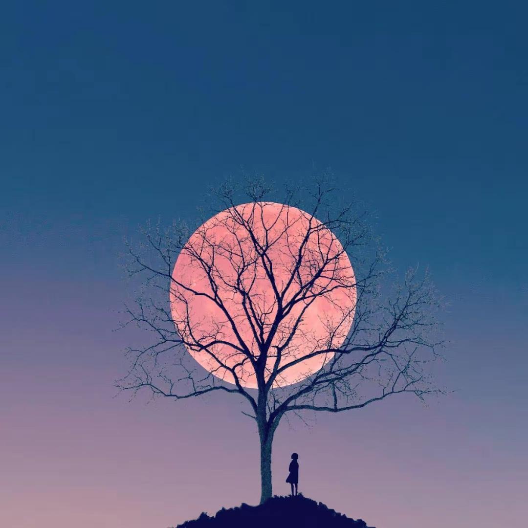 早春不过一棵树