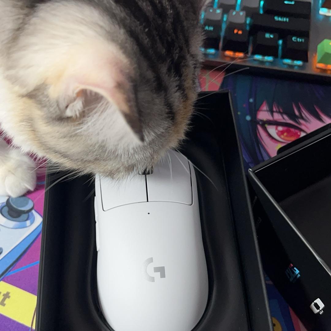 老崔🐼