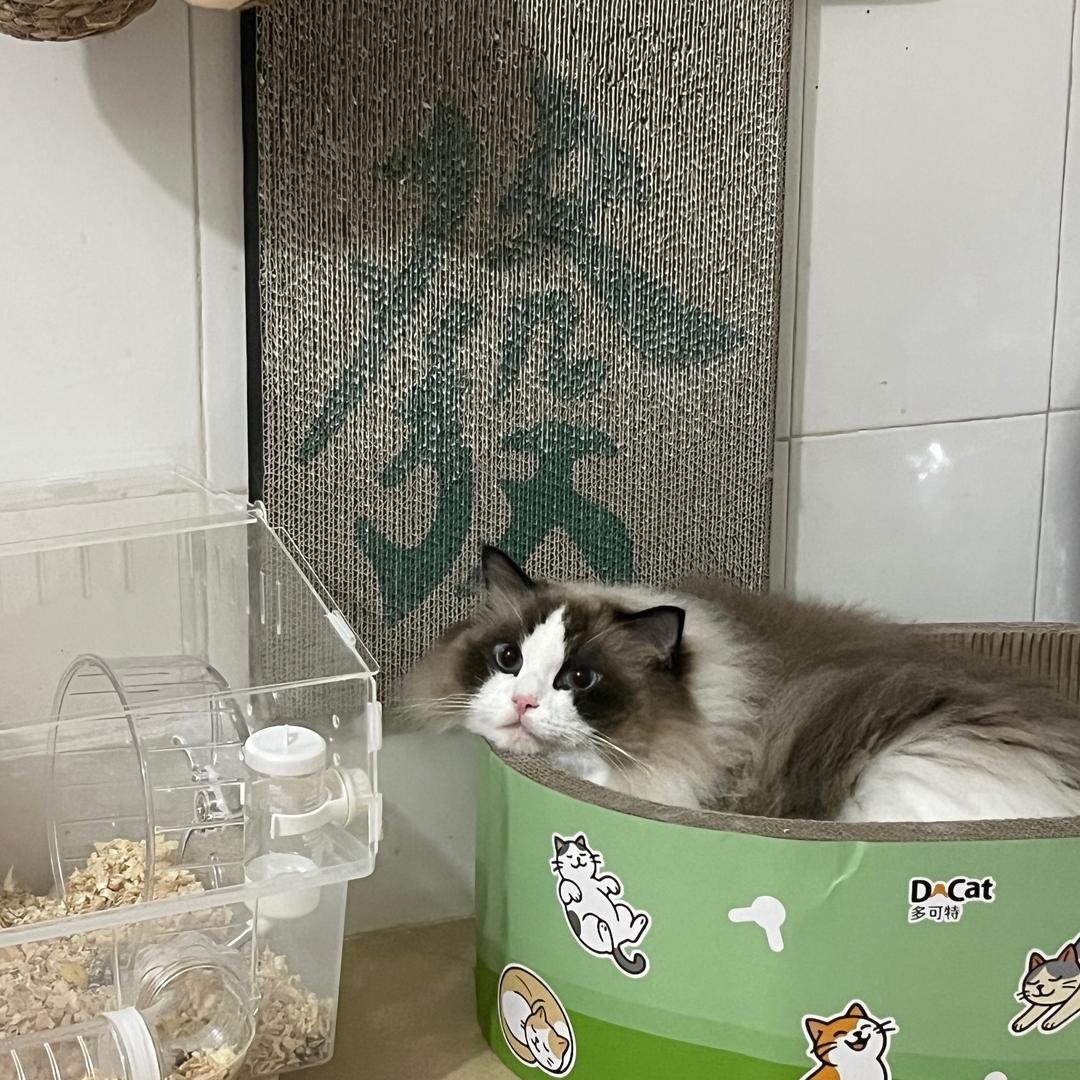 小包子乖乖🦁