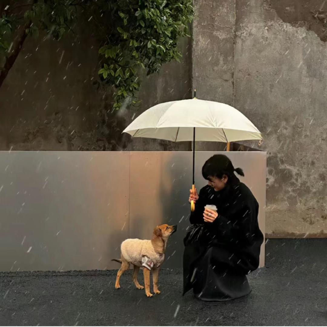归林