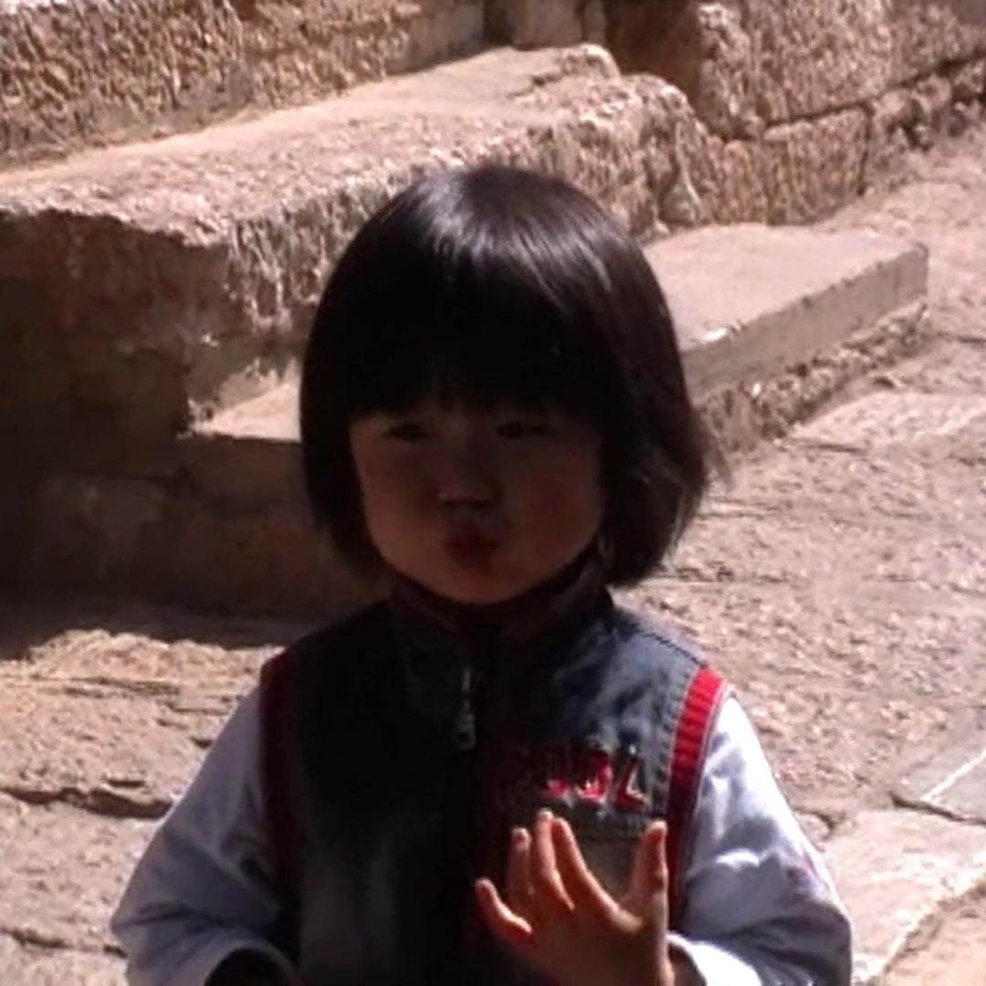 达不溜、外叉『见过张凌赫版』