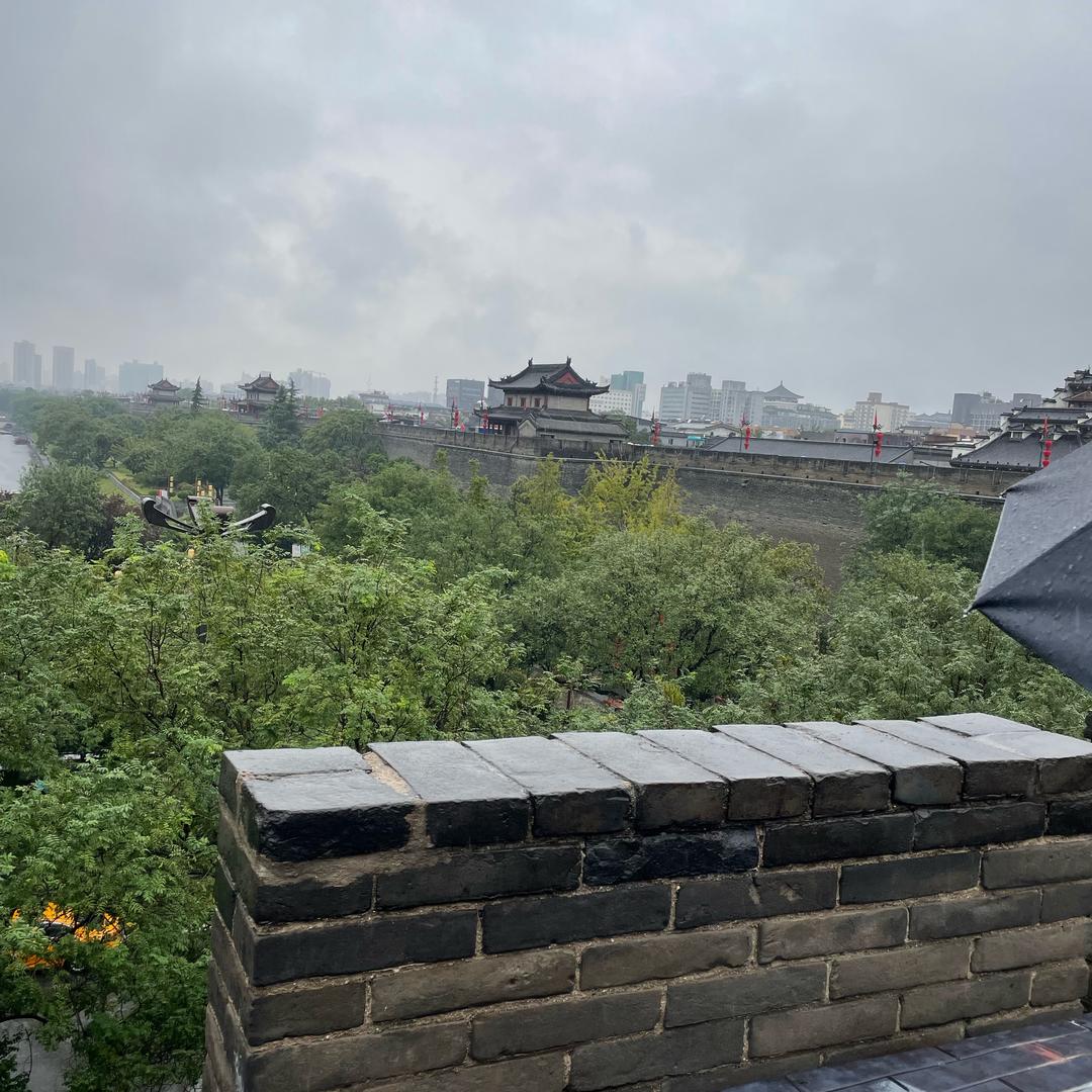 车爵士汽车美容（专业贴膜）