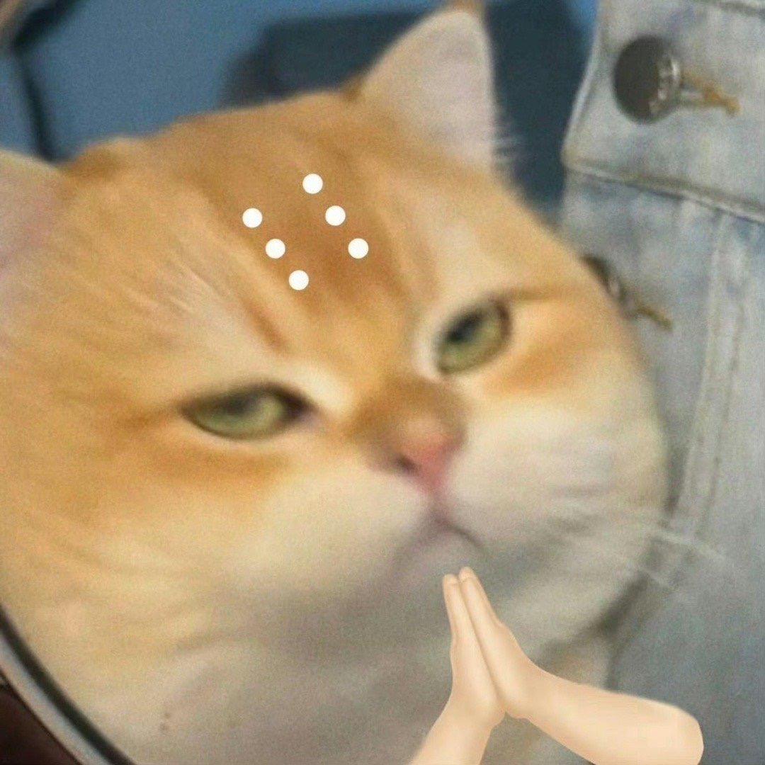 吃点儿好的