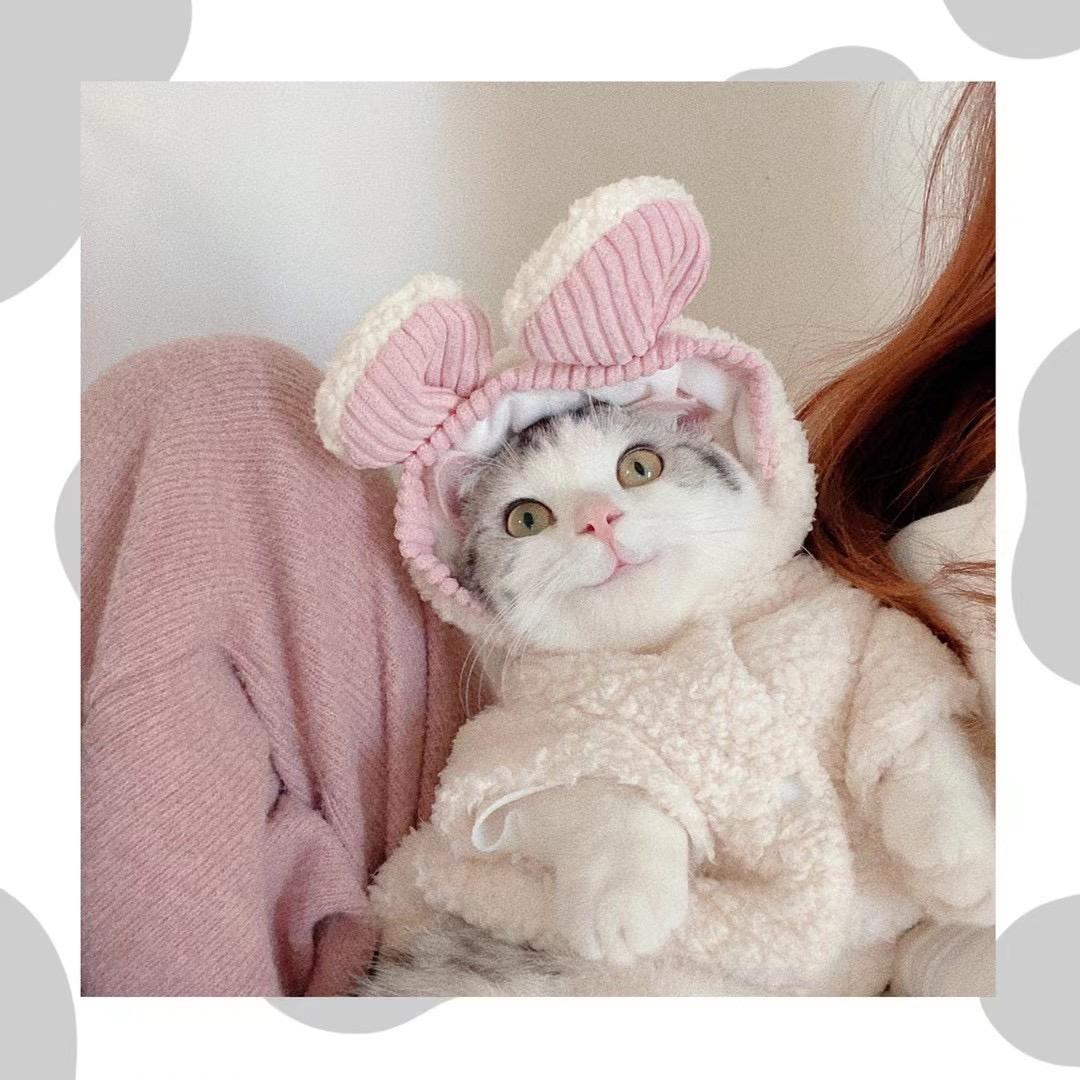 胡萌萌