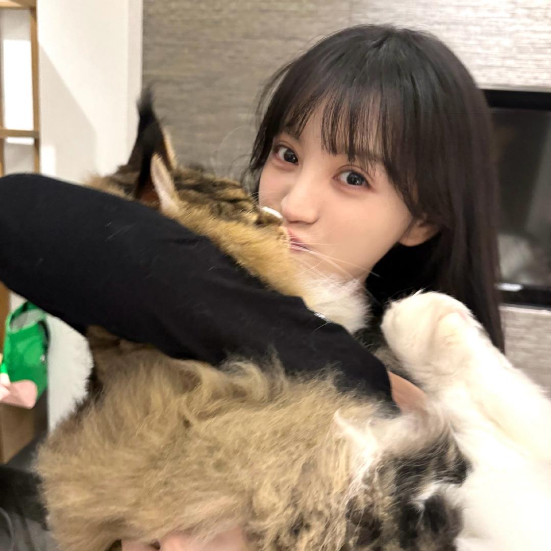 柒屿。