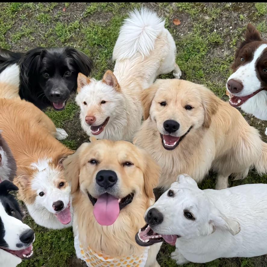 東