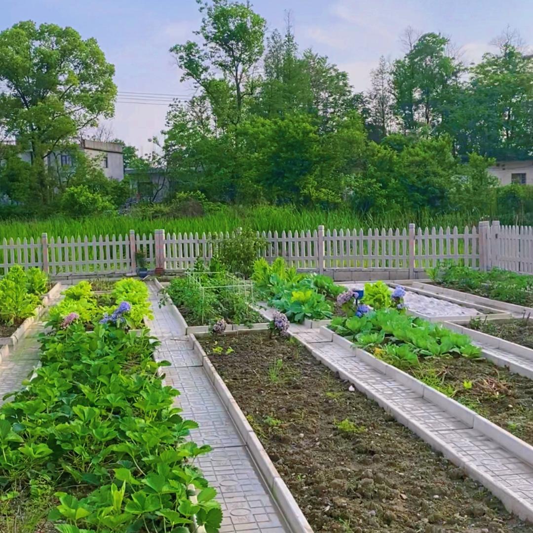浩皓菜沟板工厂