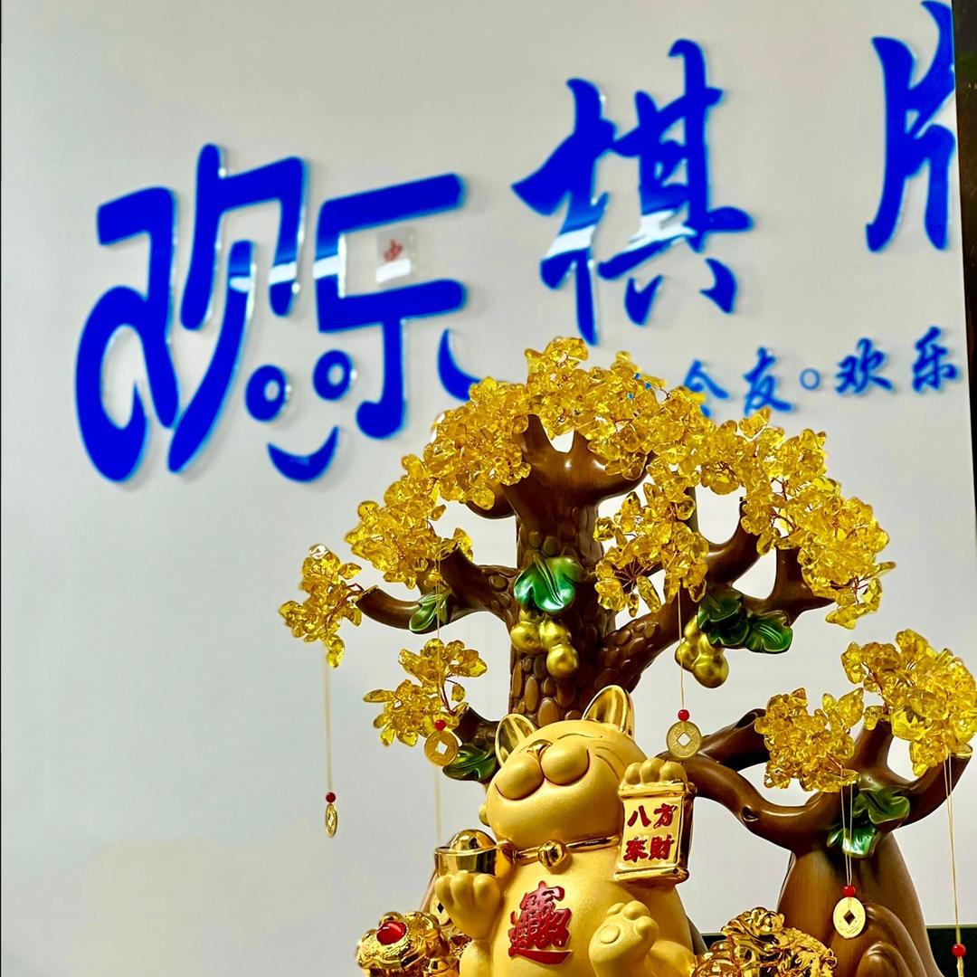 欢乐星娱乐