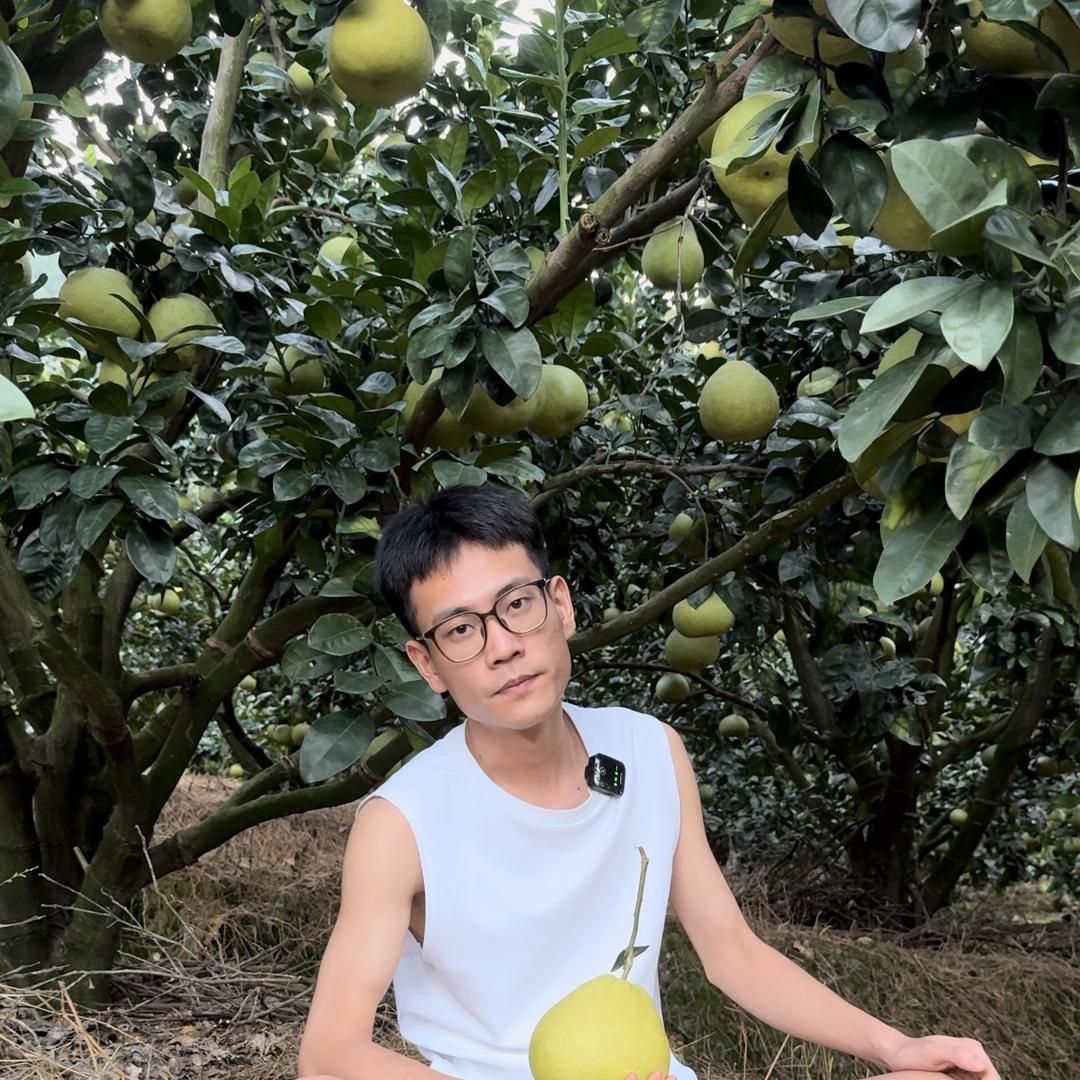 阿龙仙游文旦柚甄选