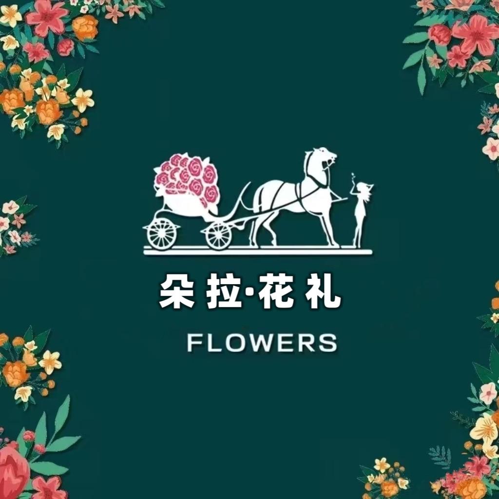 朵拉·创意花礼-外省可邮✈️
