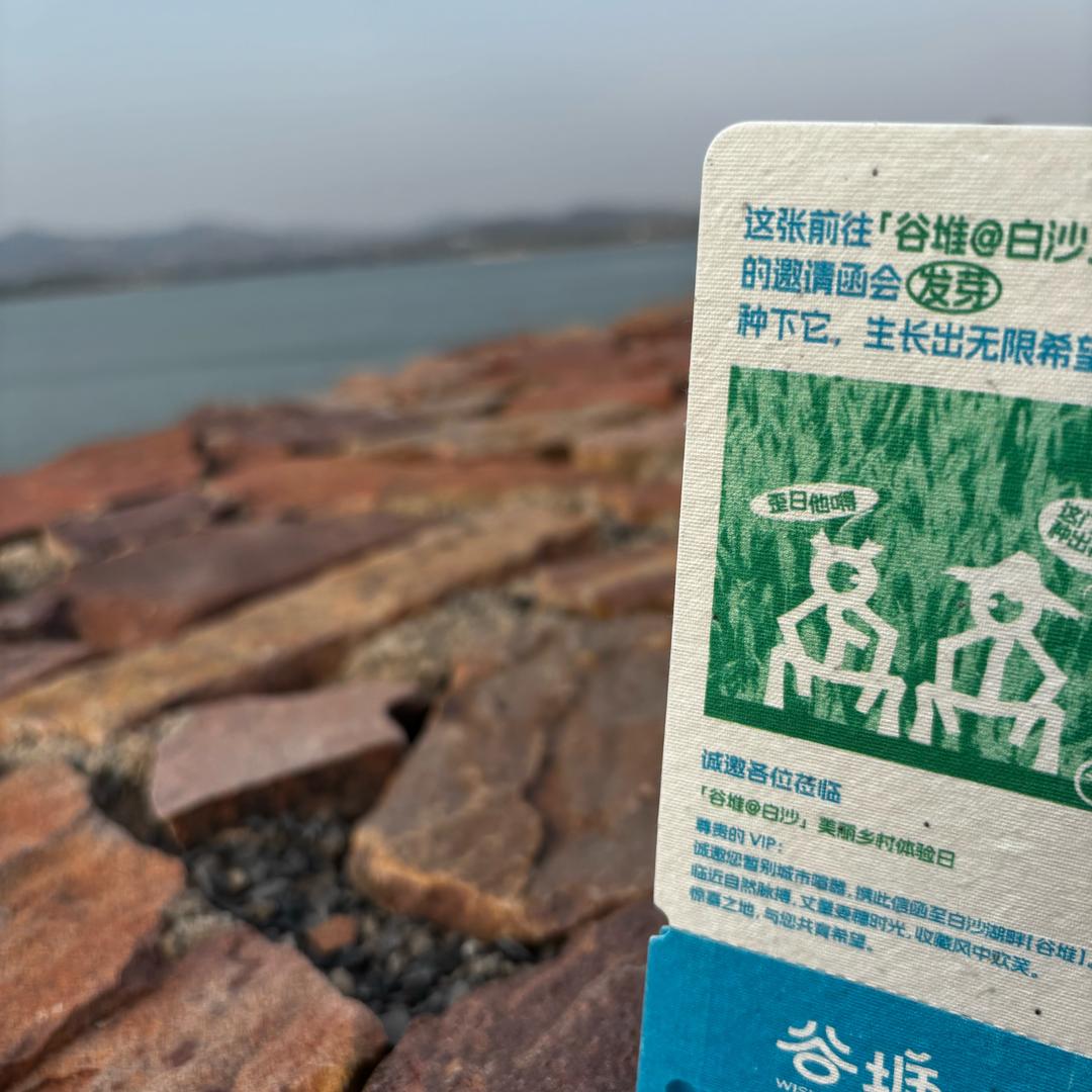 蜜斯汪