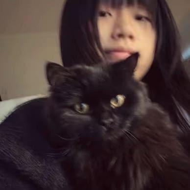 ying
