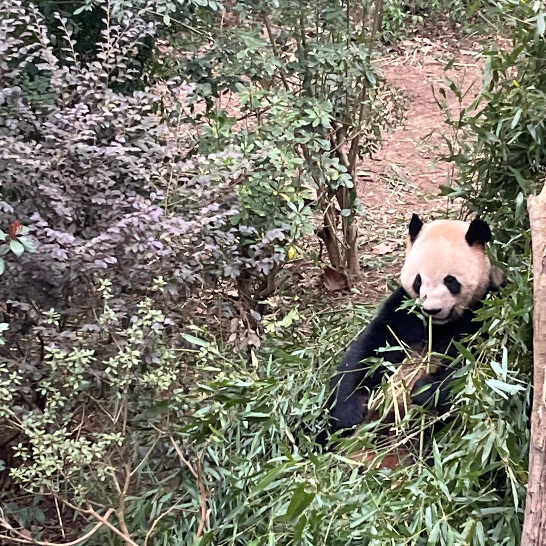 老二辽宁省-吉林省-黑龙江省-内蒙古全境