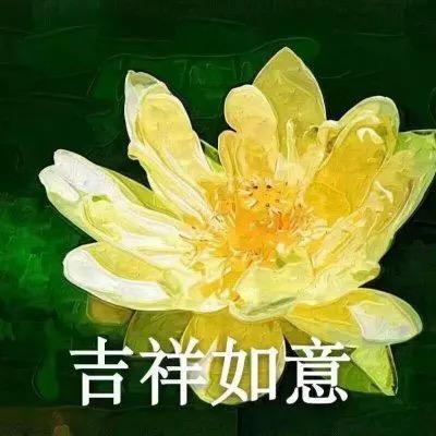 西西美食铺