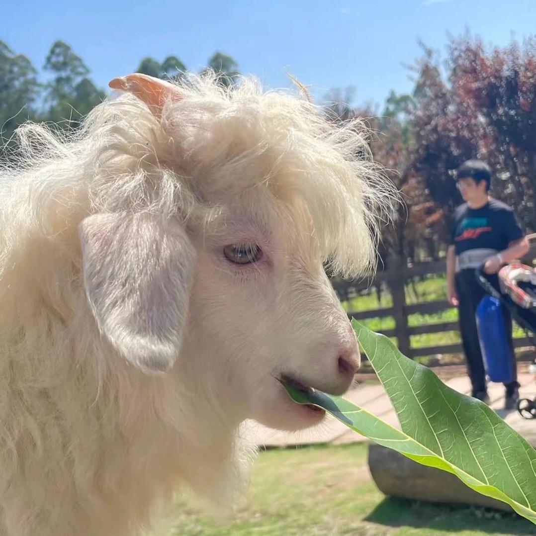 禾逸养生（静安店）