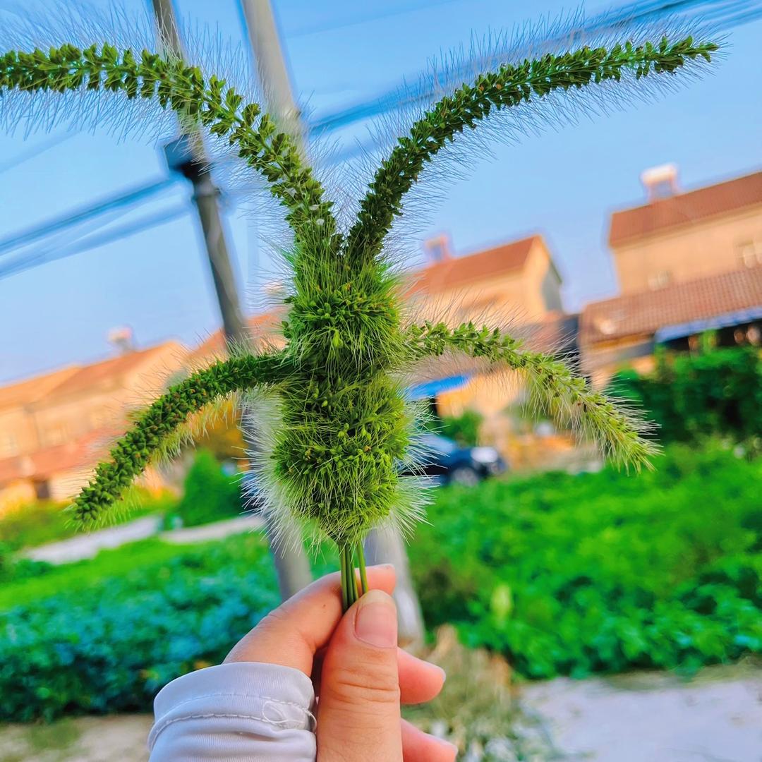 🌈小盼～贩卖美食