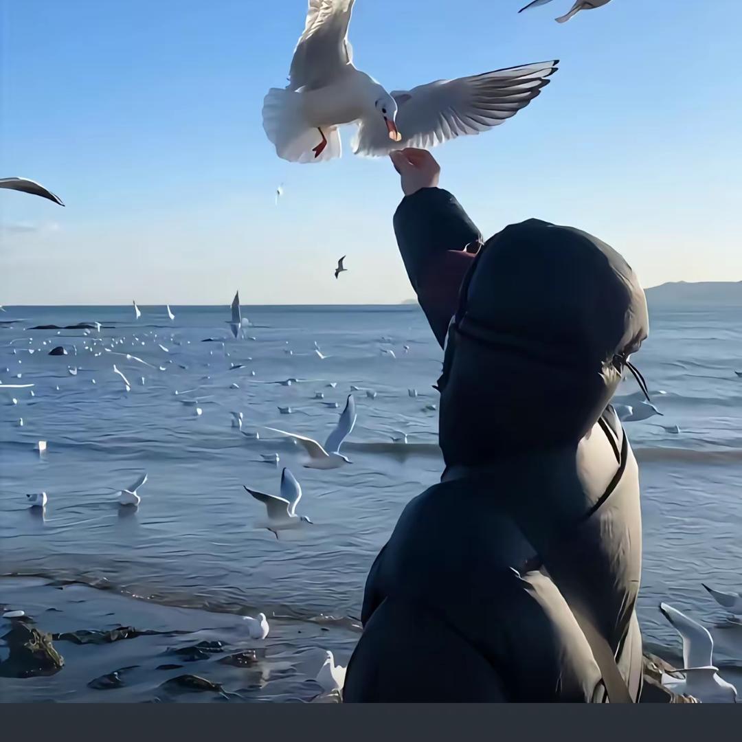 阿良商铺选址