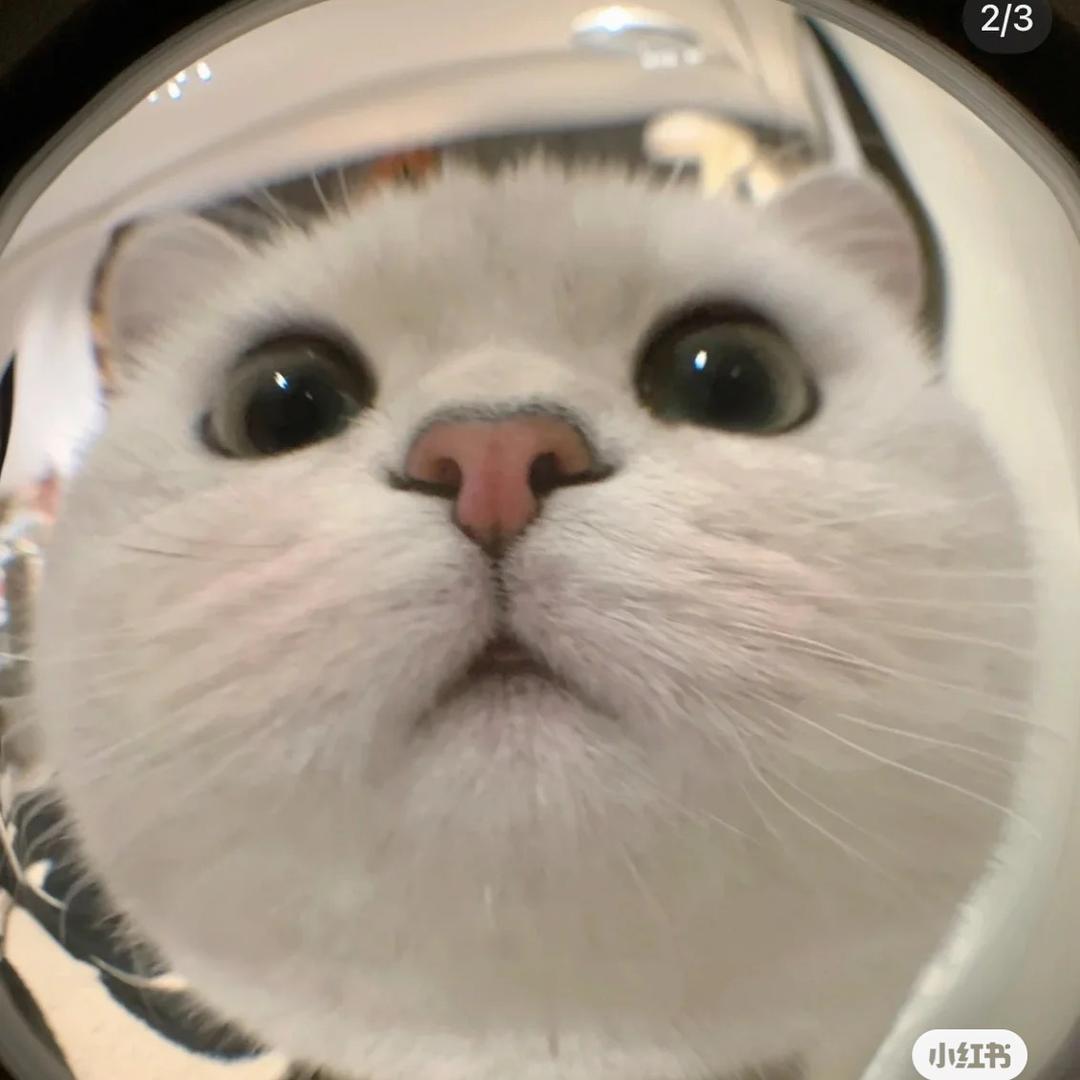 ㅤㅤㅤㅤㅤ眼泪拌饭