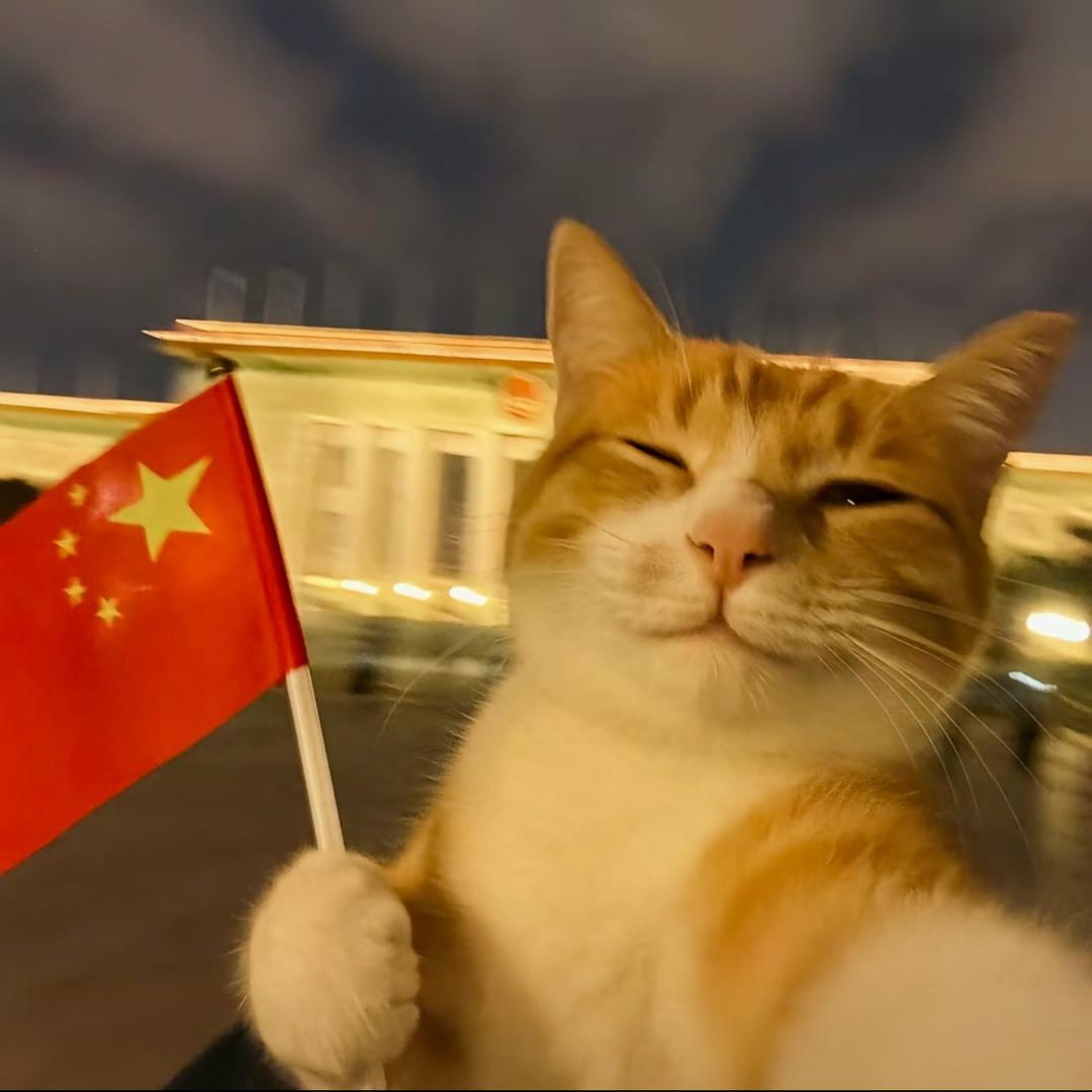 ✨✨立刻暴富🔥🔥