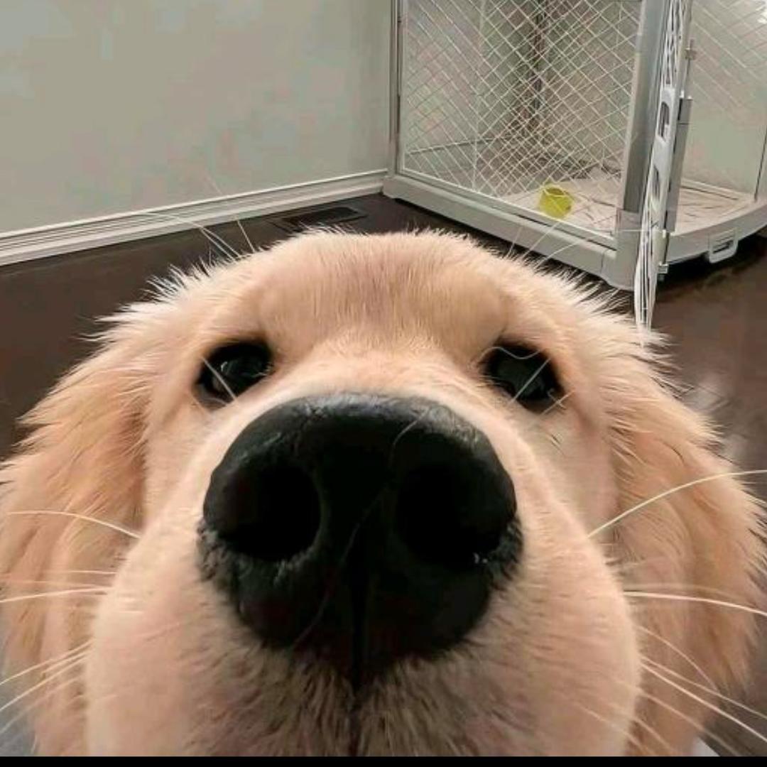 1y
