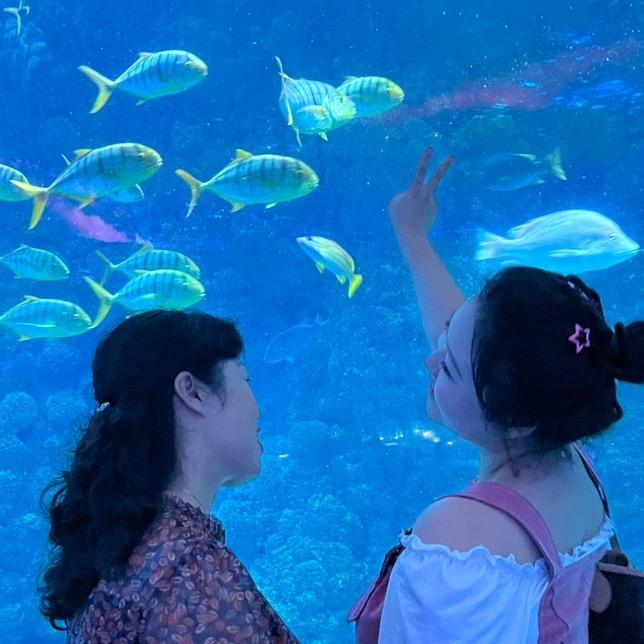 莲（拒绝私聊）