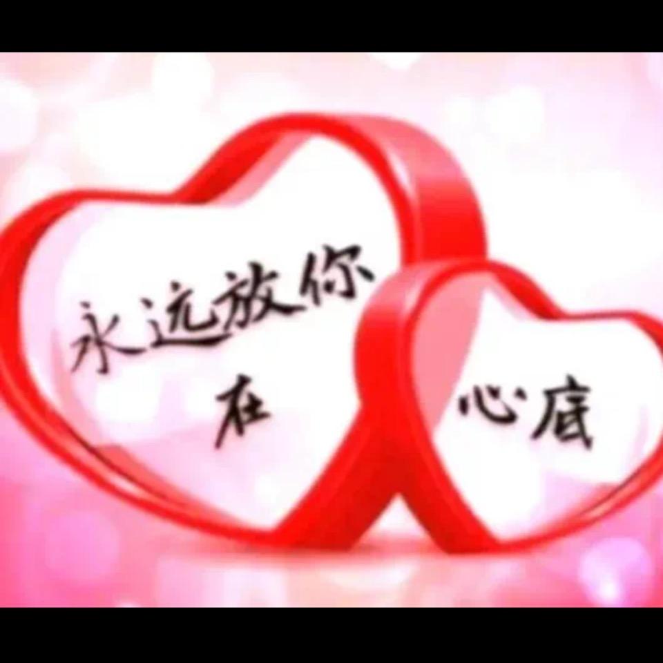暗香疏影（梅）