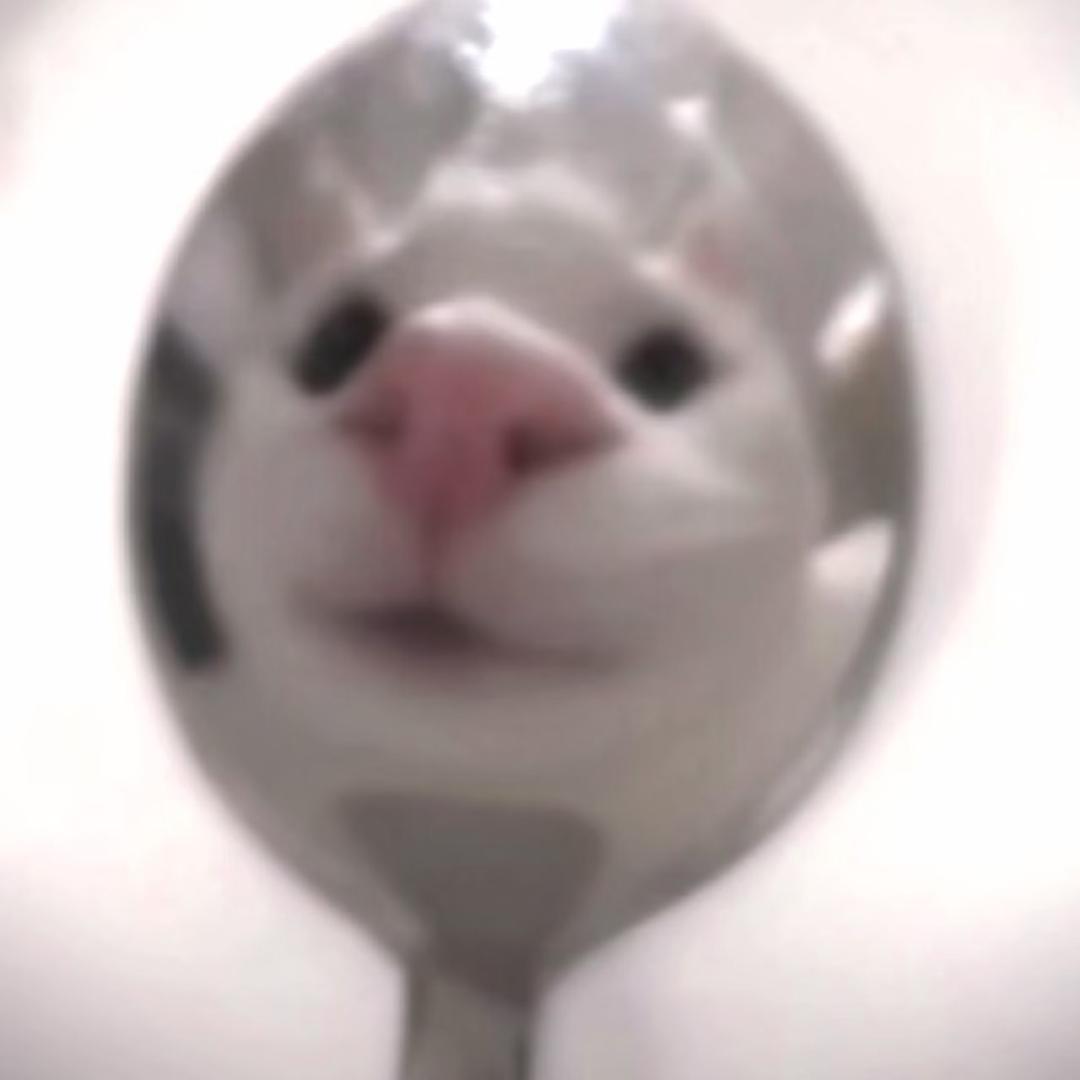 11^